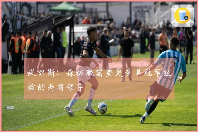 皮尔斯：森林狼需要更多具冠军经验的老将领导