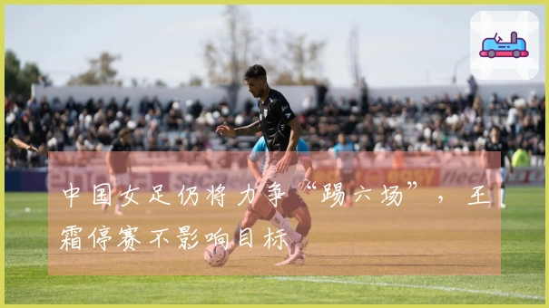 中国女足仍将力争“踢六场”，王霜停赛不影响目标